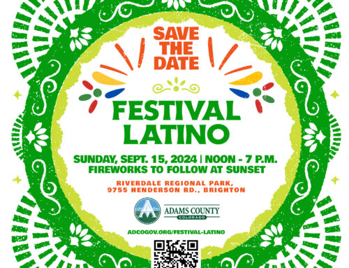 Volunteer at Festival Latino