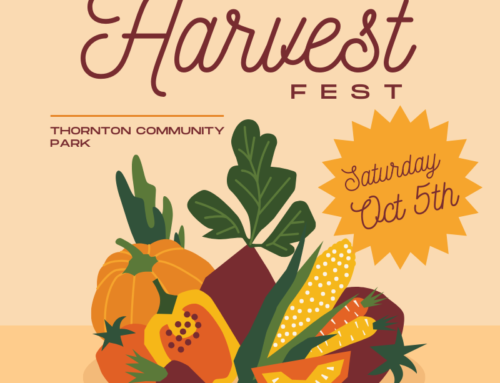 Volunteer at Thornton Harvest Fest